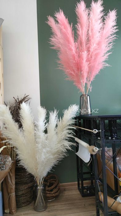 Пампасная трава / пампас