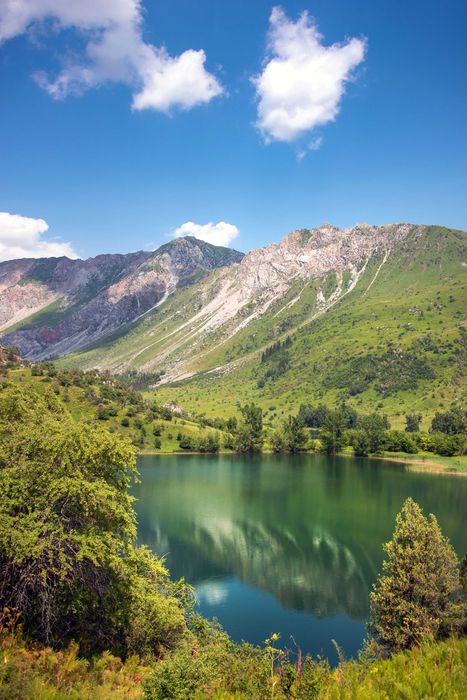 Sigma AF 20-40 mm f/2.8 DG EX Aspherical для Nikon