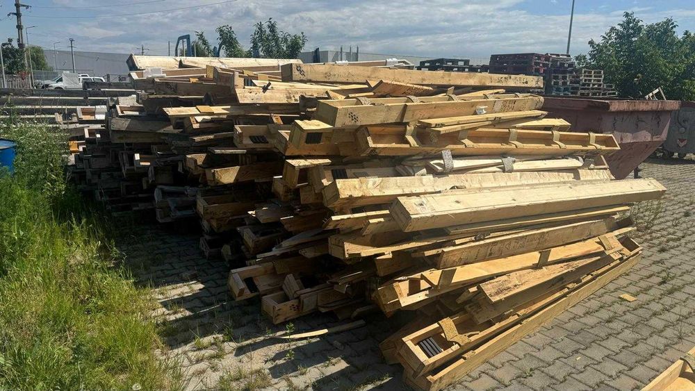 Scandura,cherestea brad