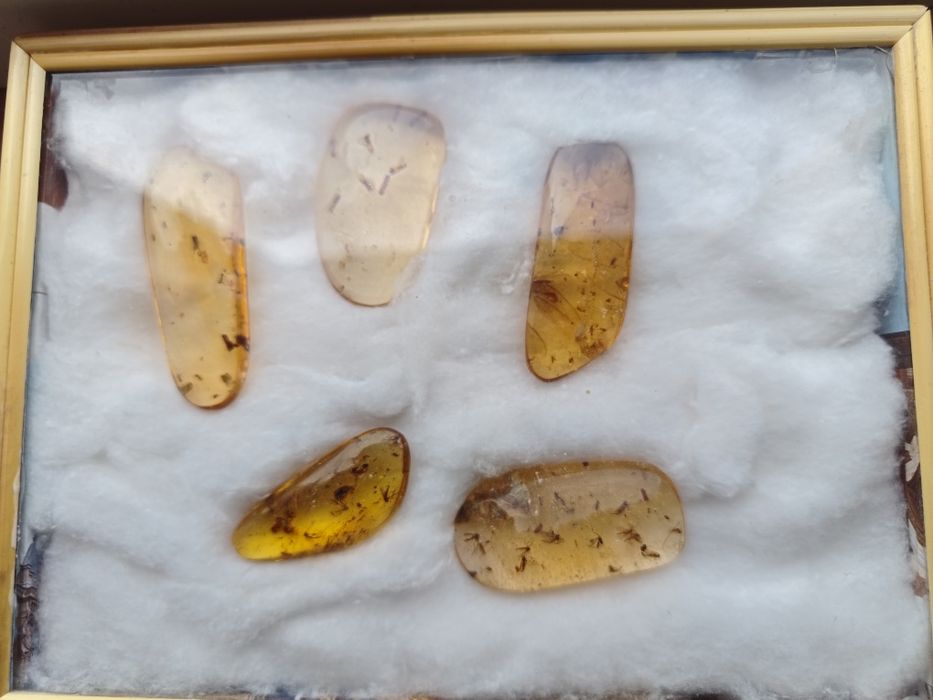 „Lot 5 bucăți copal natural Madagascar cu incluziuni – 30,1 g