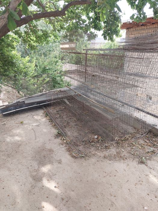 Товук сетка сотилади  клетка товук