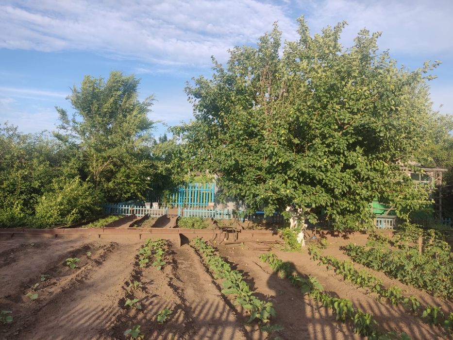 Дача садоводство!