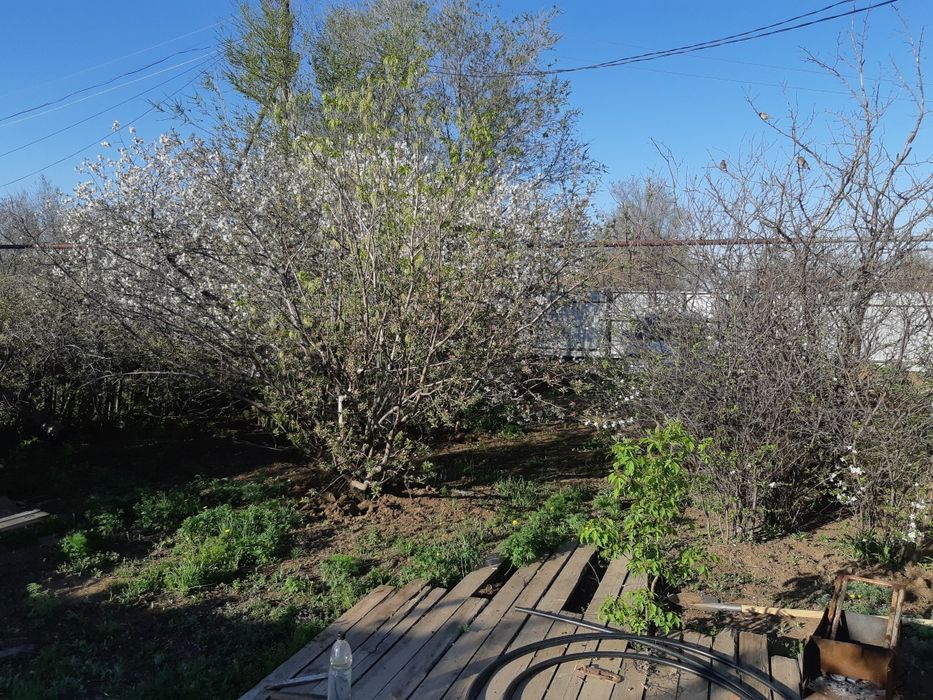 Продам дом  Достык (РТС)