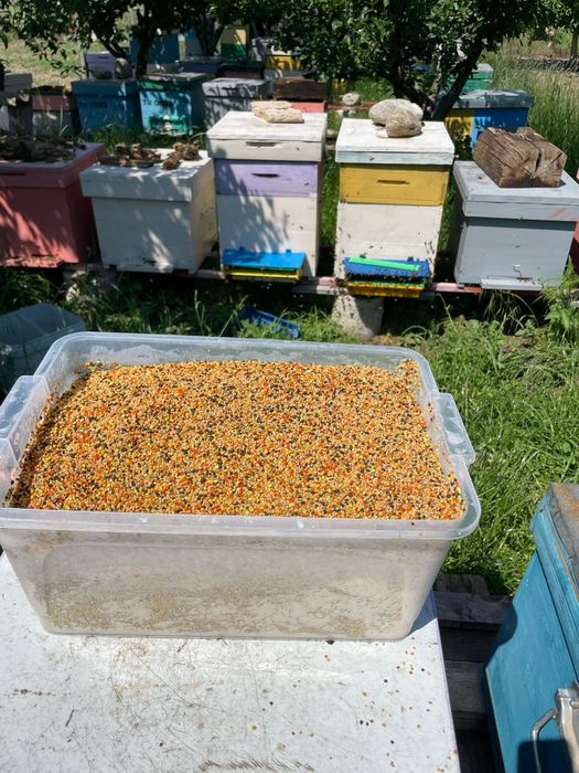 Faguri,miere si polen