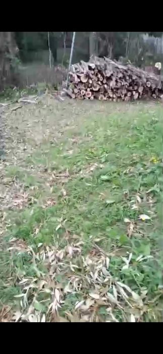 Defrișări  terenuri