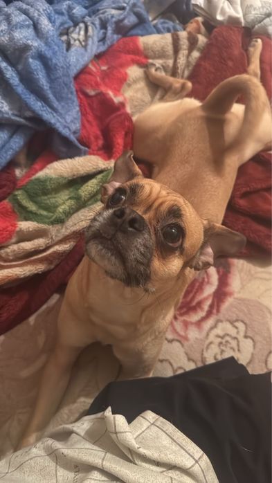 Вязка.   Кабель