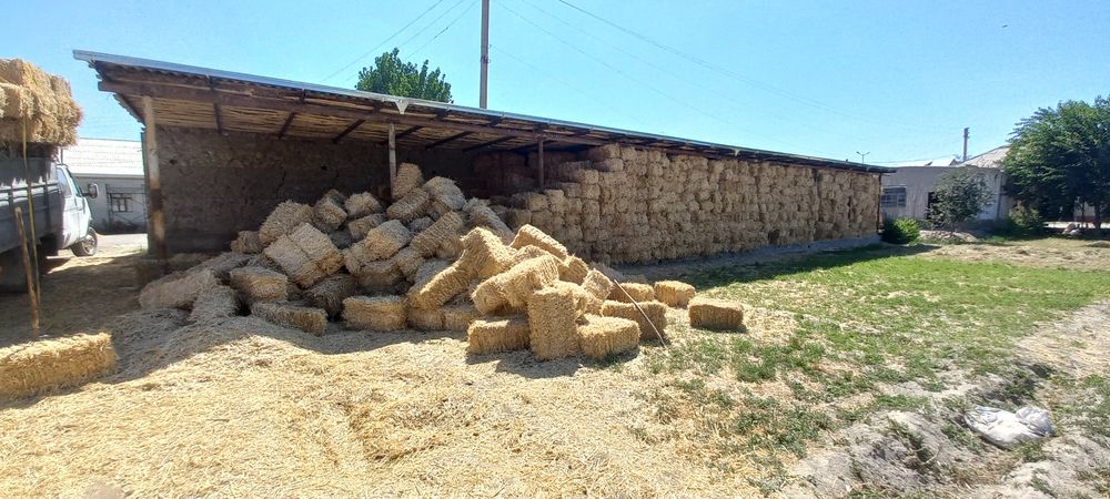 Пирес самон сотилади