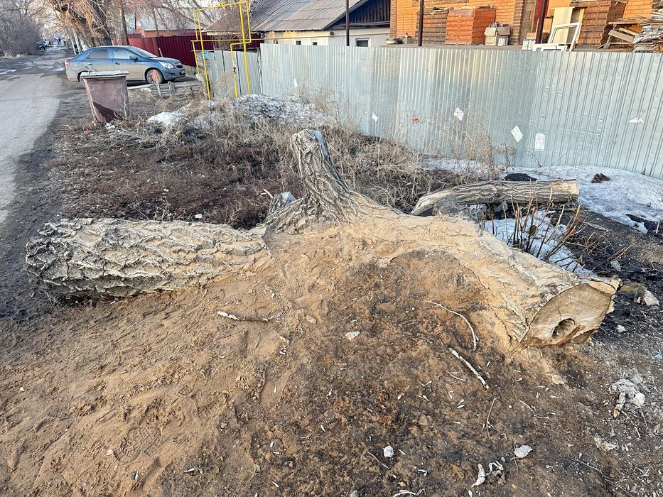 Дрова карагач самовывоз