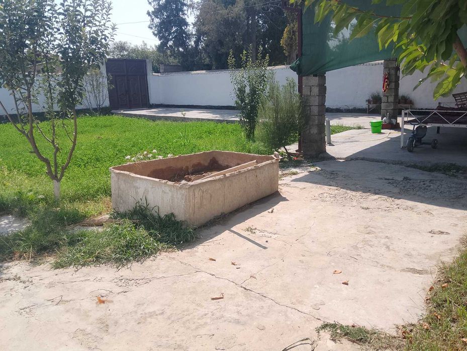 Племсавхозда ховли сотилади