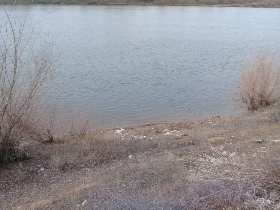 Продам дачу, 2-ая дачная