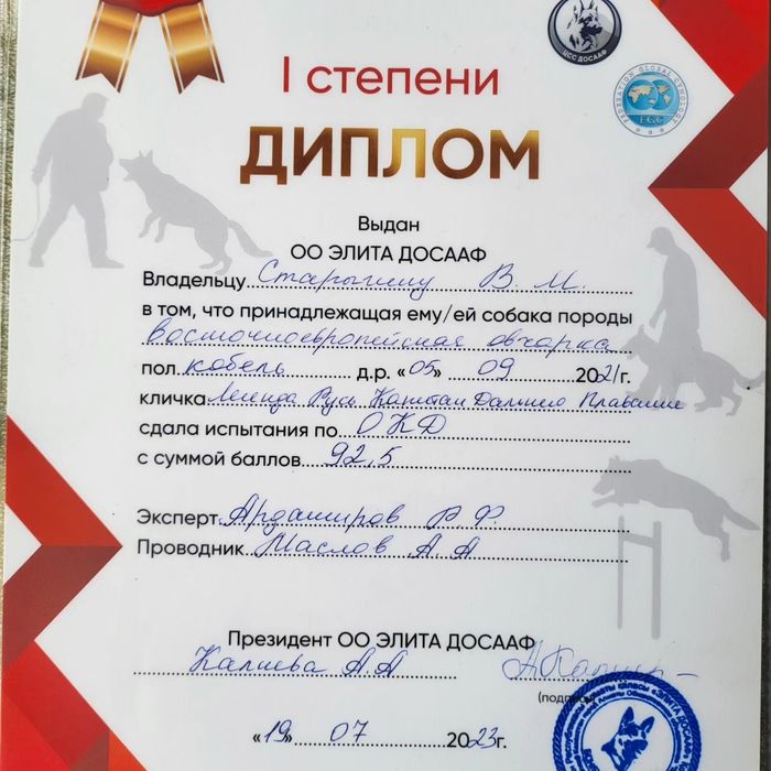 Вязка восточно-европейской овчарки
