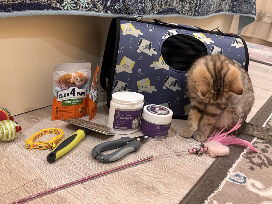 Narsalari qoshib beriladi Mushukcha