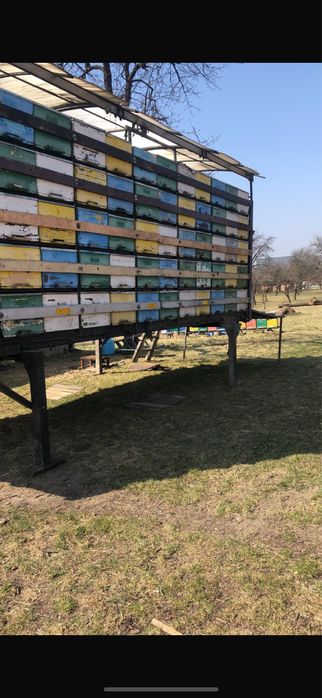 Container bdf 130 poziti