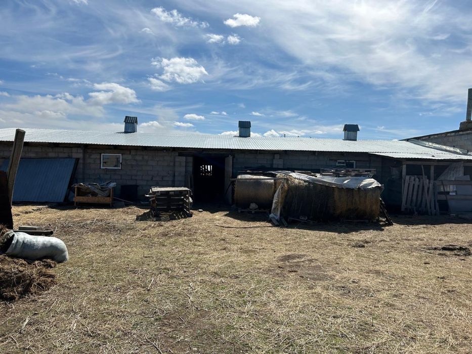 База откорм для скота 26 соток