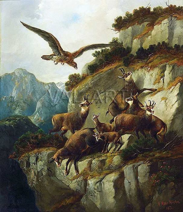 Репродукции на картини /ловни/ Мориц Мюлер (1841-1899)