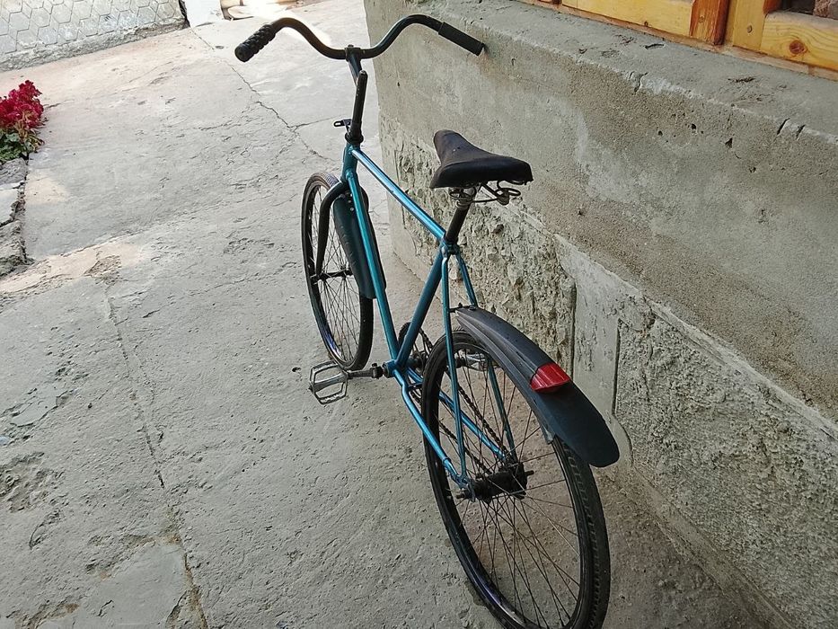 Arliyonik,  razmeri 24