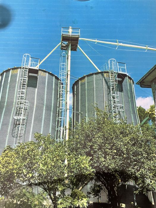 Vand 2 silozuri de cereale