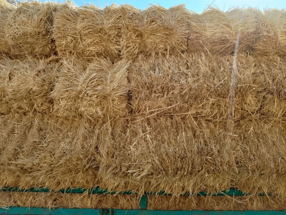 Сабан пресс Салома