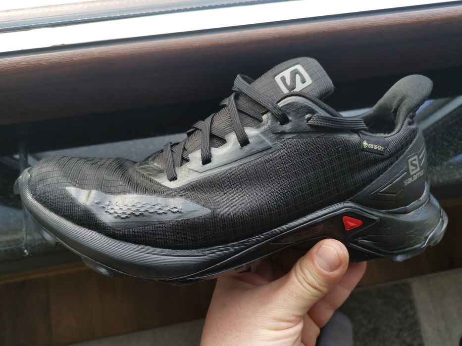 Salomon Alphacross Blast Gtx 42