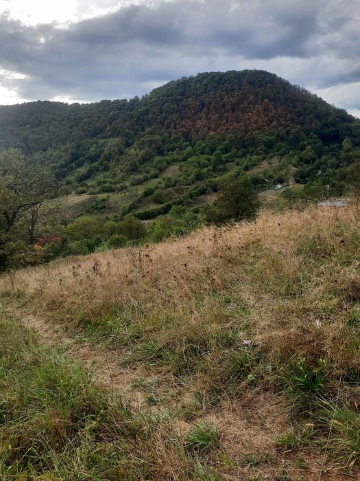 Teren intravilan de vanzare Chiuzbaia