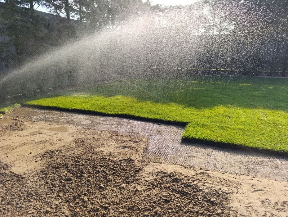 Irigații plante ornamentale