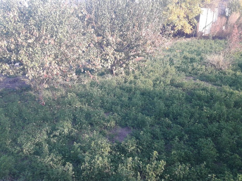 Участка тез  сотилади.