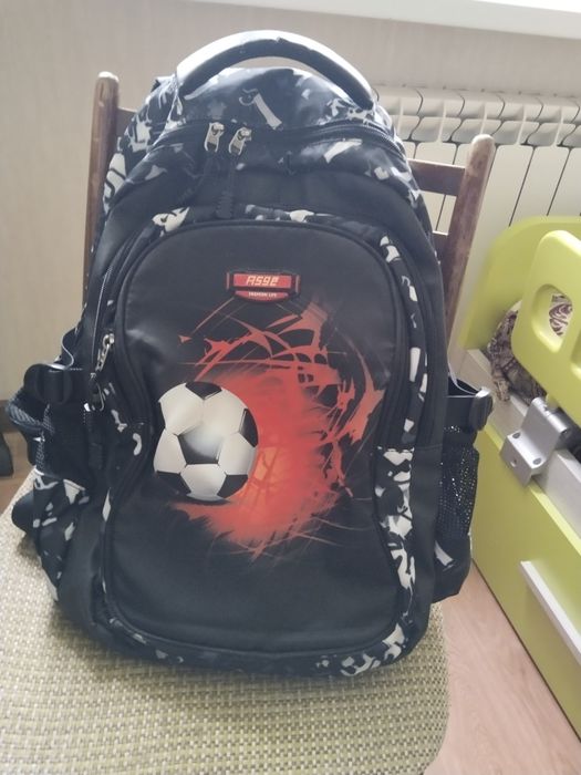 Рюкзаки школьные