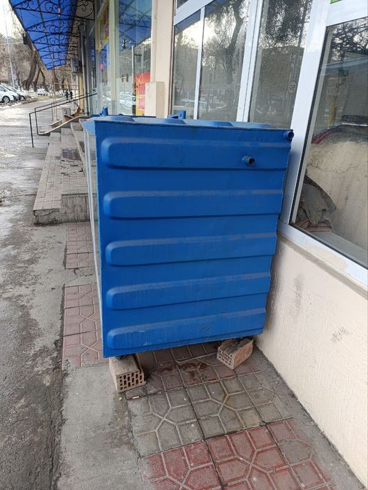 Tirik baliq akvaryum yegiday turipti buyi 1.50 2.50