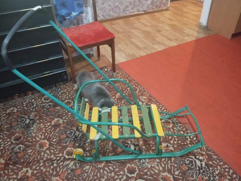 Санки может кому то нужно