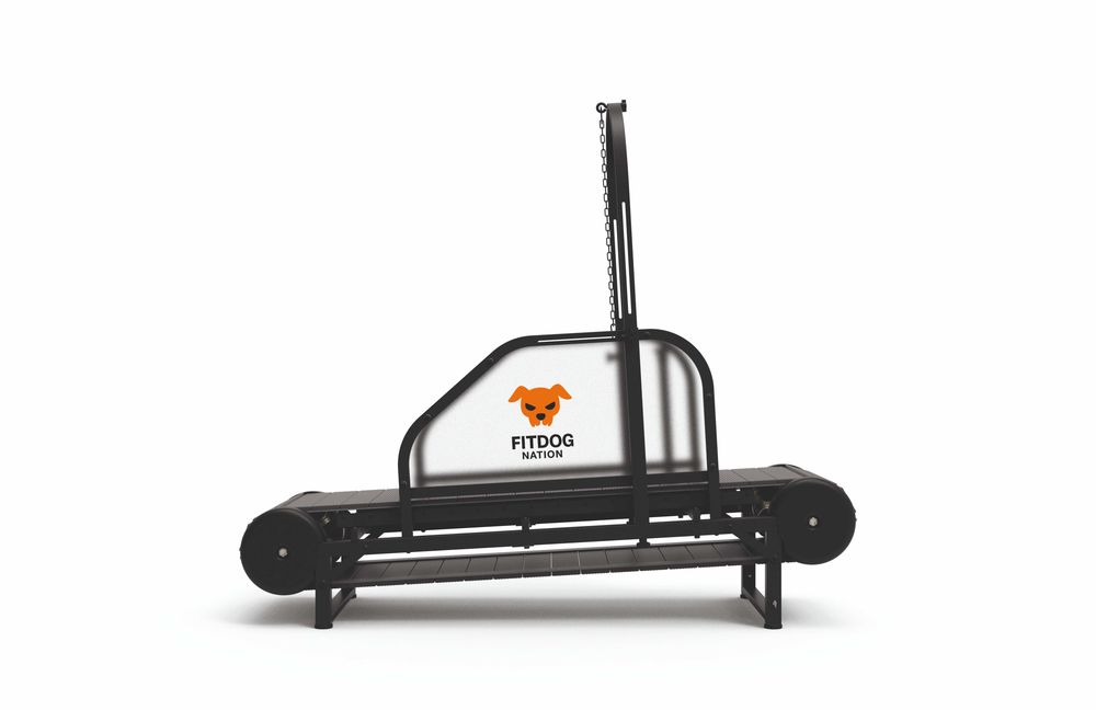 Бягаща пътека за кучета Fitdog
