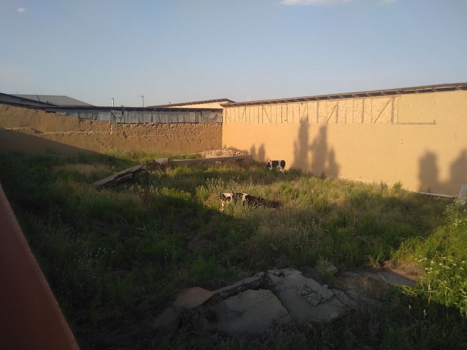 Yer sotiladi toshmi postdan 5 km kirganda