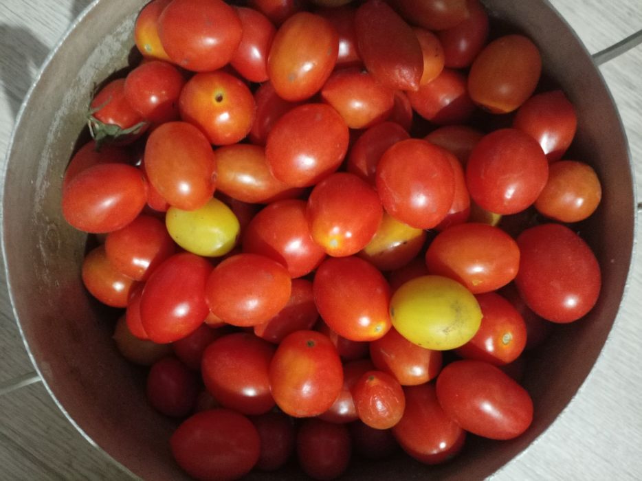 Продам помидоры домашние