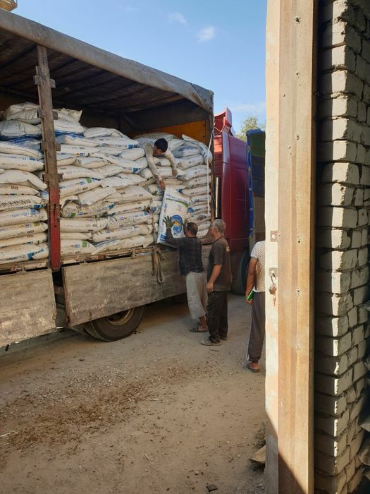 Рыбный корма балик еми