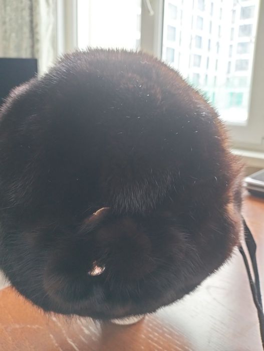 Продам шапки, недорого