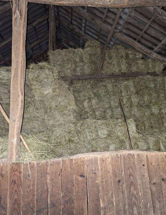 Vând baloți fan-otava