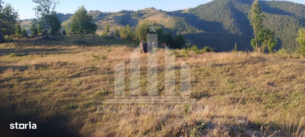 Teren intravilan | 3565 mp | Ideal constructie cabane | Garda de Sus