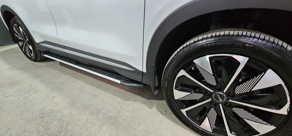 Byd champion restaylin