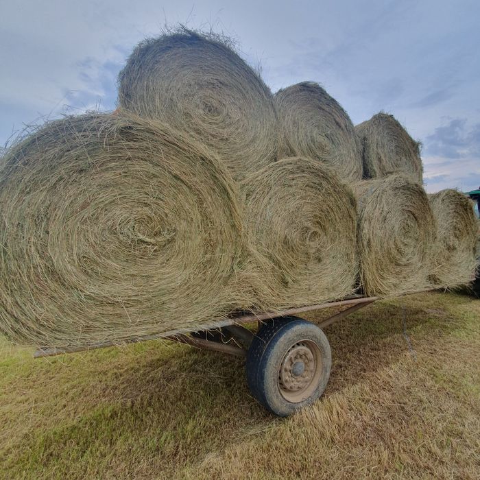 Vând(150- 200)de baloți rotunzi de fân si otava!