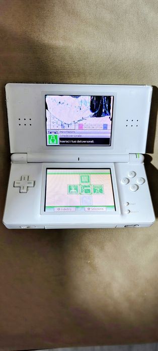 Display defect Ds light Nintendo