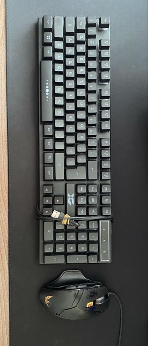 Игровая мышка и клавиатура