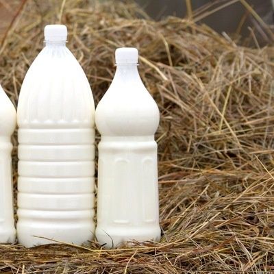 Молоко и Кефир домашнее