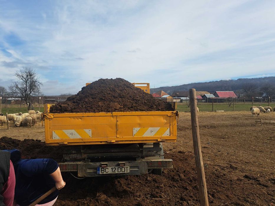 Gunoi putred de oaie de vânzarea