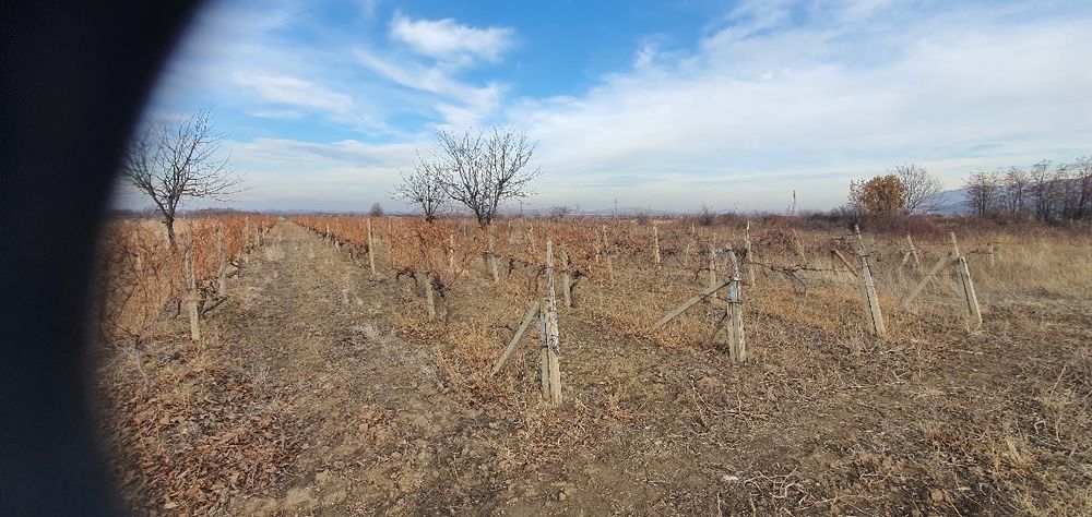 Продава се Земеделски имот в с. Устина, Област Пловдив -  кв.м за 3825 €/дка - Снимка #1