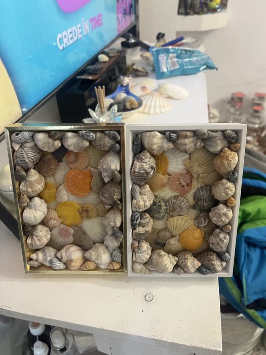 Tablou decorativ handmade cu scoici naturale – tematică marină