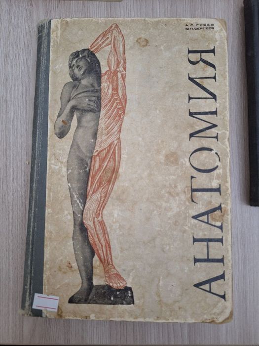 Книга Анатомия для медиков
