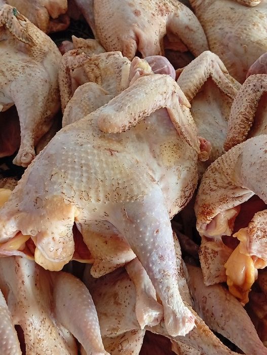 Продам мясо домашней птицы