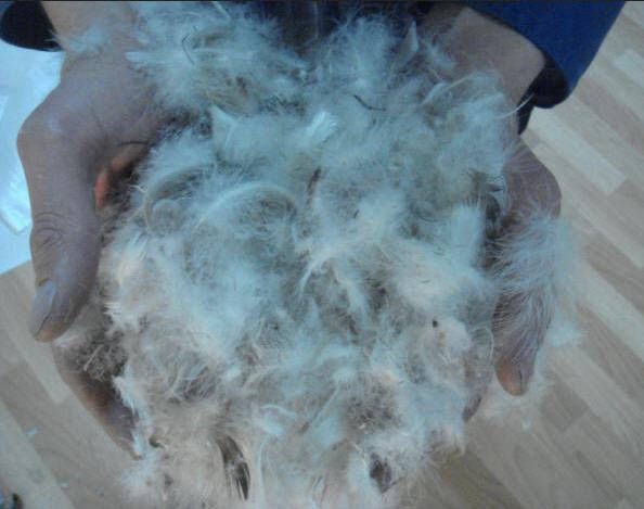 Пух-гусиный сухой мокрый