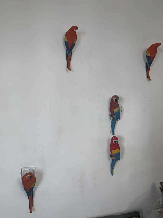 Set de papagali decor curte/terasa