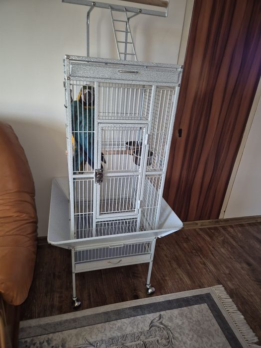 Cușcă pentru Papagali