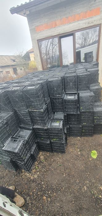 Ladite plastic diferite modele